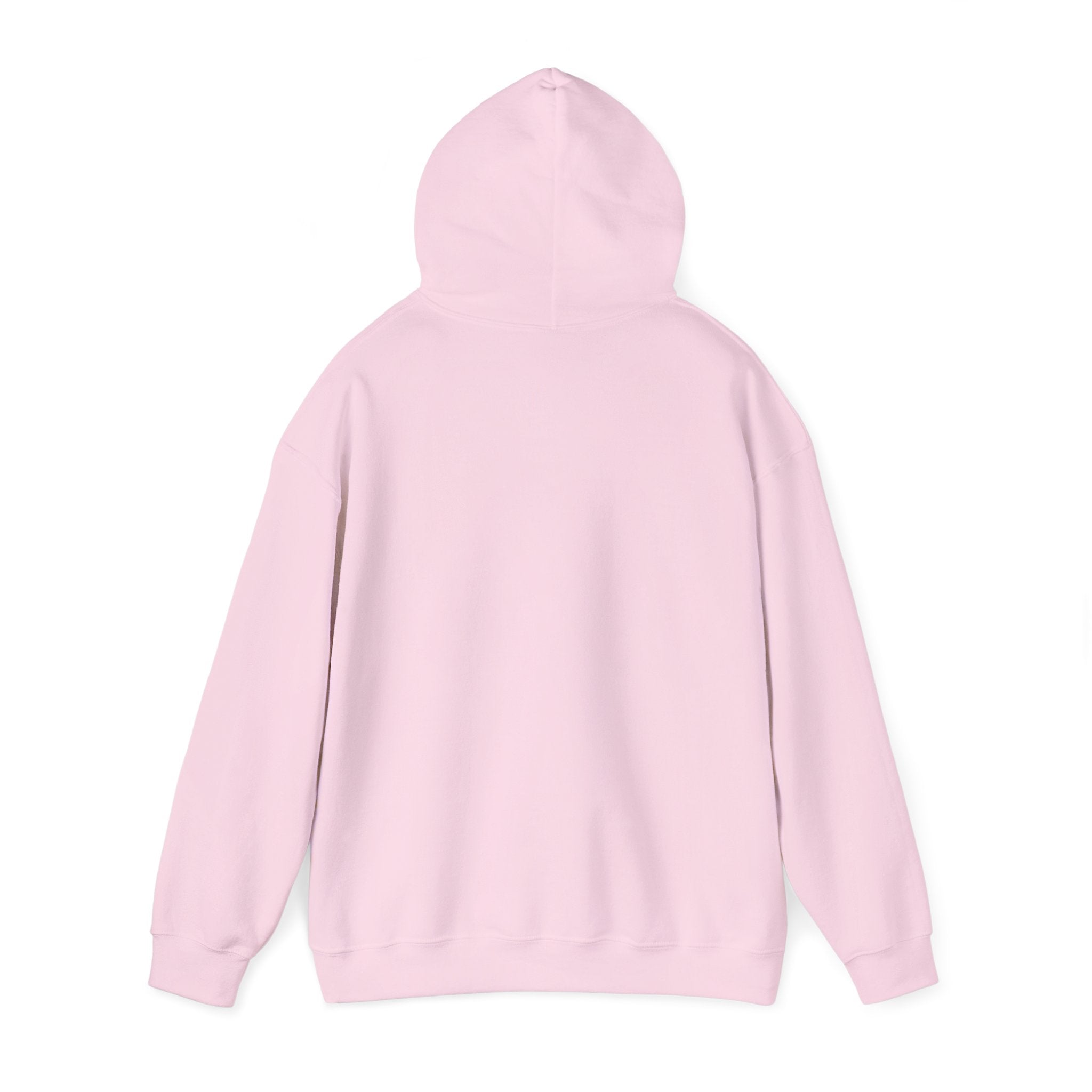 "Liberal Tears" Patriotic Graphic Hoodie