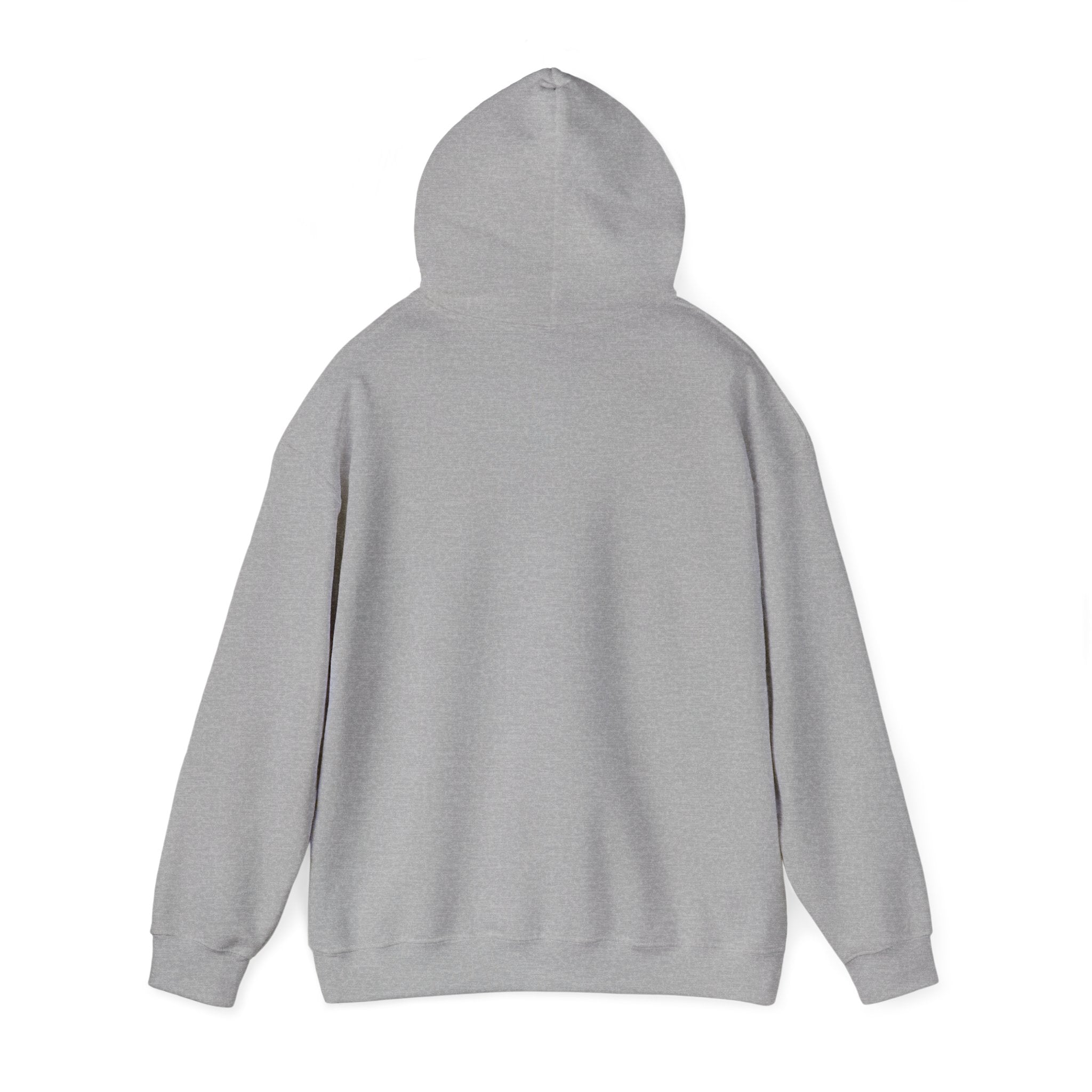 "Liberal Tears" Patriotic Graphic Hoodie