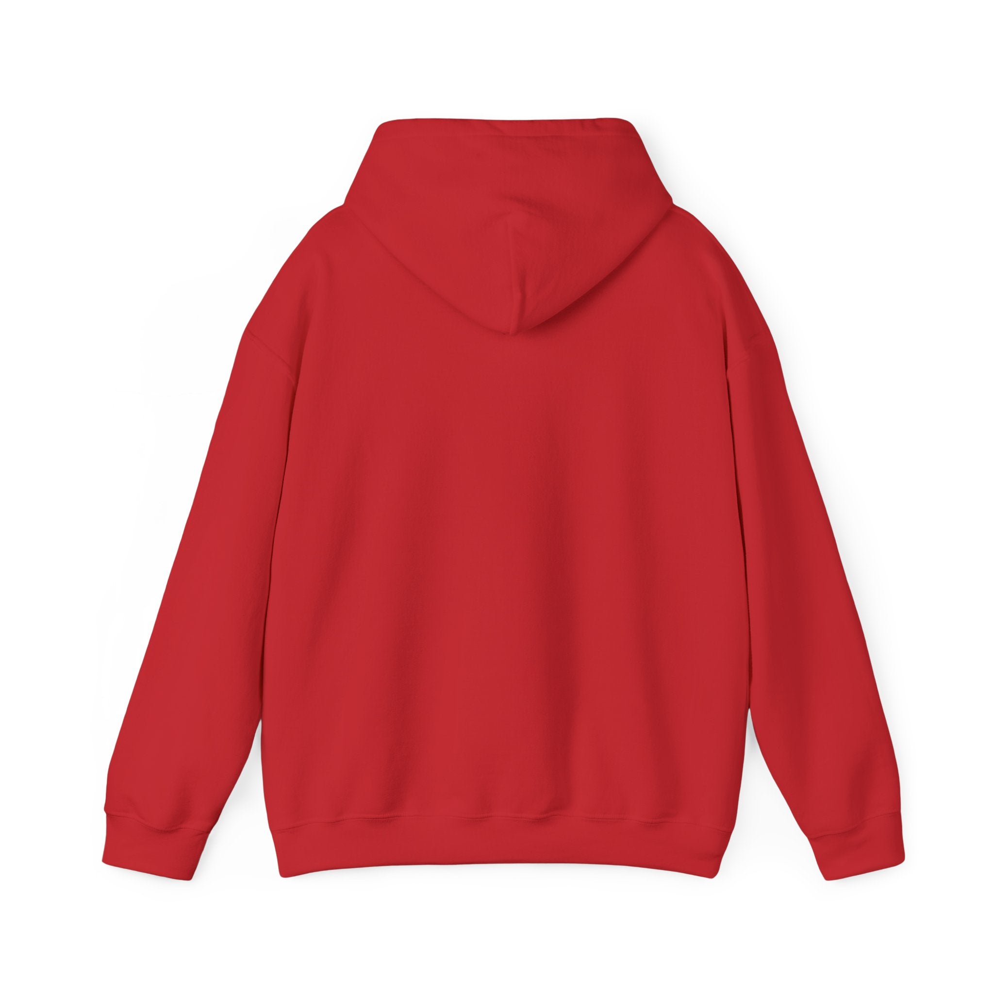 "Liberal Tears" Patriotic Graphic Hoodie