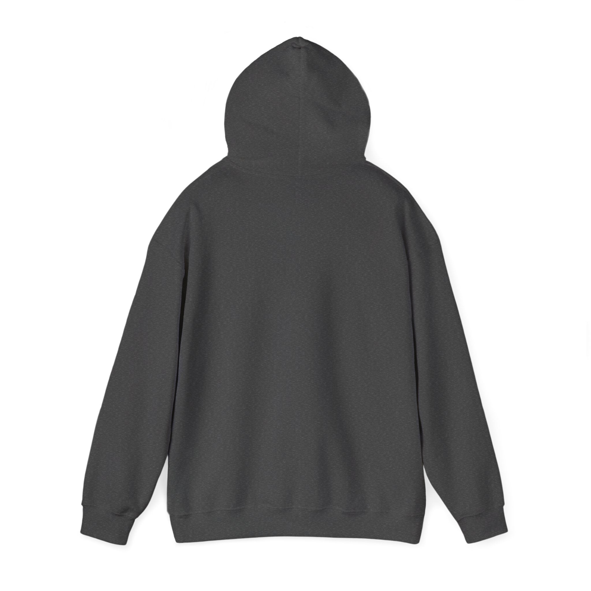 "Liberal Tears" Patriotic Graphic Hoodie